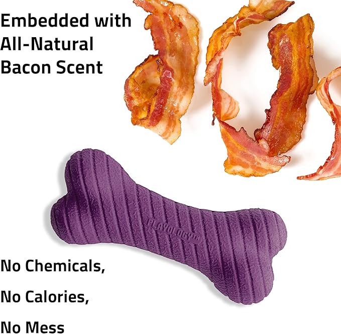Playology Dog Toys | Dual Layer Bone Durable Chew Toy Bone for Dogs (Value 3-Pack) | Small Bacon Scented Toy - Easy to Clean and Made from Non Toxic Materials
