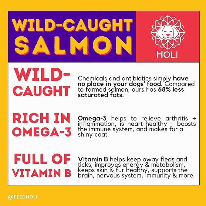 HOLI Freeze Dried Salmon Dog Food Topper - with Omega 3 & 6 - Single Ingredient, Human-Grade Wild Caught Salmon - Dog Food Flavor Enhancer for Picky Dogs – 100% All Natural - 6oz