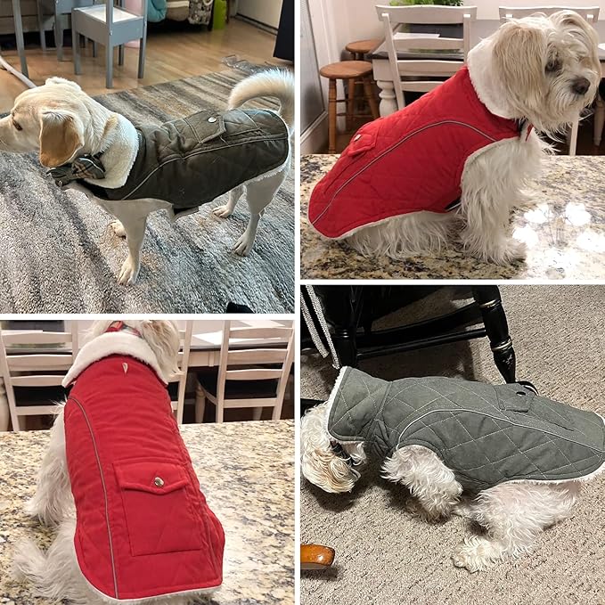 Malier Dog Winter Coat, Windproof Dog Cold Weather Coats with Real Pocket, Winter Extra Warm Pet Coat Fleece Jacket Reflective Clothes for Small Medium Large Dogs and Puppy (Green, XX-Large)