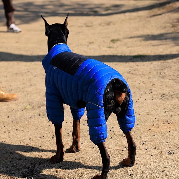 Dog Coat Dog Warm Jacket, 4 Legs Covered Waterproof Windproof Reflective Warm Dog Vest, Zippered Adjustable Outdoor Dog Snow Jacket for Small Medium Large Dogs Blue XXL