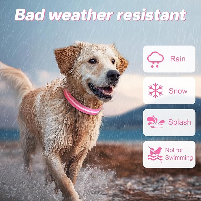 PcEoTllar Light Up Dog Collars, Led Dog Collar, Rechargeable, Night Walking, Waterproof, Glow in The Dark Dog Collars Light for Large Small Medium Dogs, Pink l