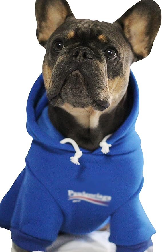 ChoChoCho Stylish Streetwear Blue Dog Sweatshirt Tracksuits, Cats Hoodies, Dog Outfit for Cat Puppy Small Medium (3XL)