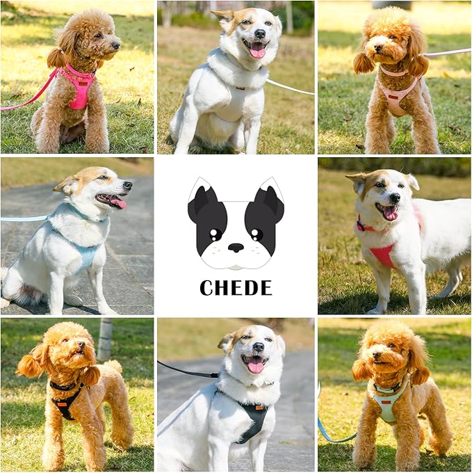 No Pull Dog Harness- Lightweight, Soft, Adjustable Small Harness Collar and Leash Set, Suitable for Cats Puppy Small and Medium-Sized Dog Outdoor Training and Running (Brown, XXS)