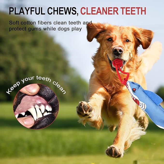Dog Tree Tug of War Toy with Handles,Tethered Tug of War Outdoor Toy with Squeaky Self Play for for Small to Medium Dogs to Exercise Play Rope,Ball with Rope Dog Toy