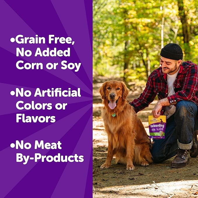 Wellness Rewarding Life Dog Treats, Training Treat, Grain Free, Soft Beef & Turkey (6 Ounce Bag)