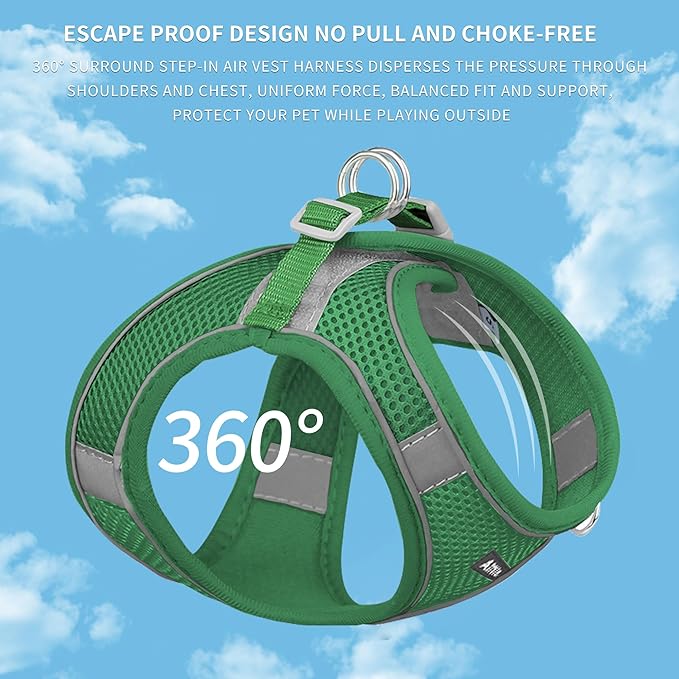AIITLE Comfortable Dog Harness and Leash Set for Walking - Summer Step in Vest Harness,Reflective Bands, Adjustable No Pull Puppy Essentials, for Small Dogs and House Cats Green XS