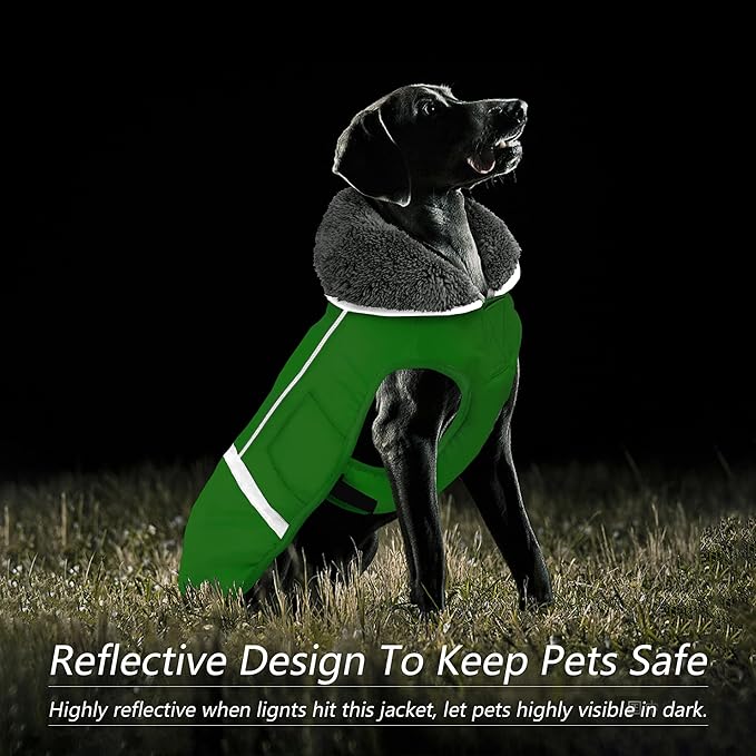Dogcheer Warm Dog Coat, Waterproof Dog Jacket Christmas Puppy Winter Coat with Buckle, Reflective Adjustable Pet Snow Jacket Turtleneck Fleece Sweater for Small Medium Large Dogs - Green, S