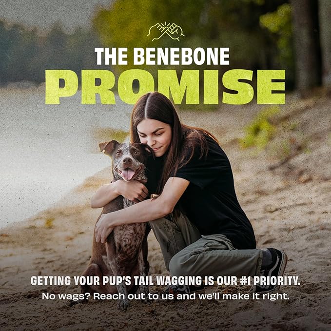Benebone Pawbler - Natural Rubber Interactive Enrichment Treat and Kibble Dispensing Dog Toy – Great for Boredom - Medium/Large