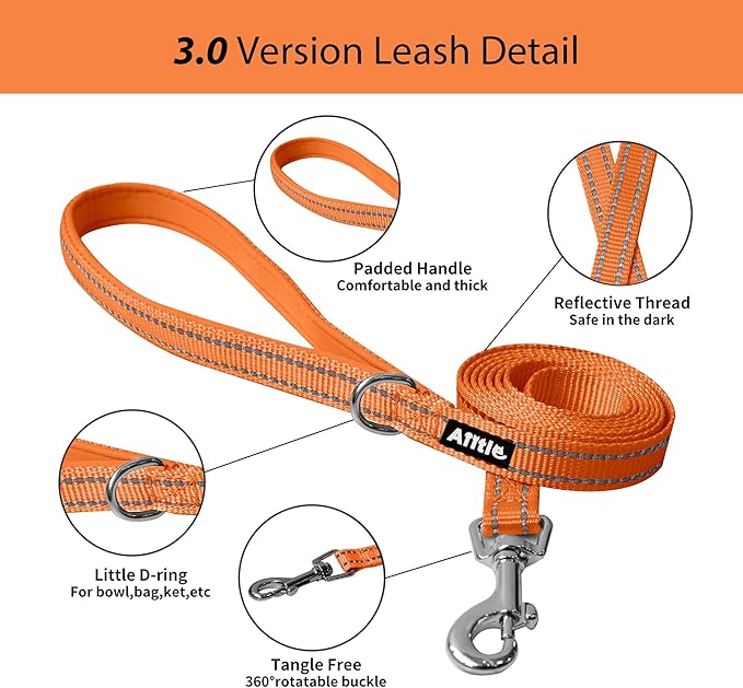 AIITLE Small Harness for Puppy with A Leash - Summer Dog Vest Harness with Super Breathable Mesh, Reflective No-Pull Pet Harness for Outdoor Walking, Camping for Small Dogs, Cats Orange XXS