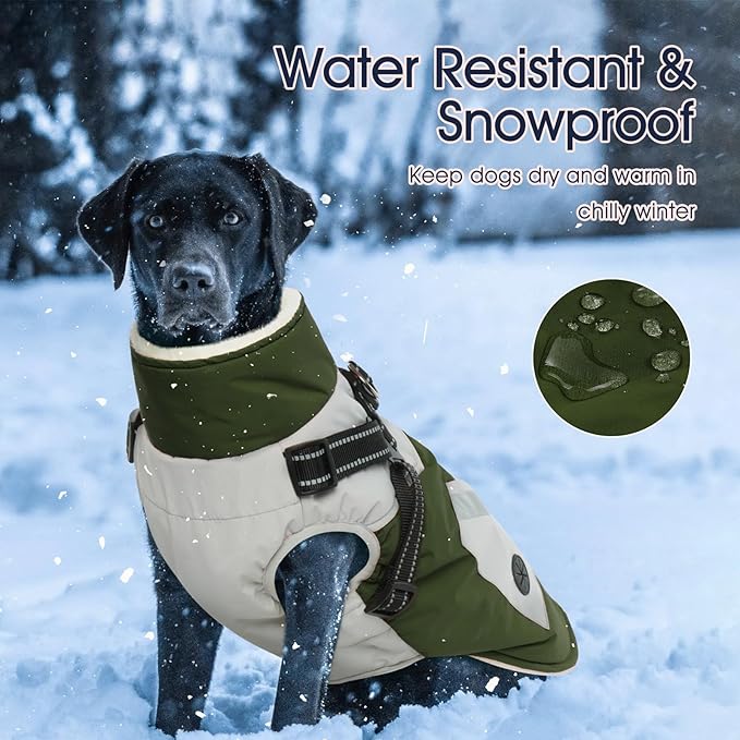 IECOii Dog Coat with Harness Built in - Green, Large - Waterproof Winter Coat, Fleece Lined Snow Jacket for Dogs