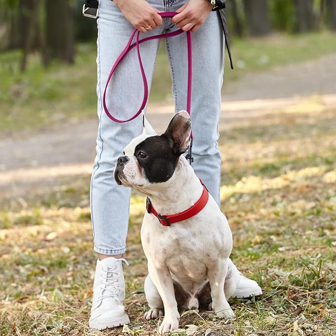 Dogline Biothane Waterproof Dog Leash Strong Coated Nylon Webbing with Black Hardware Odor-Proof Easy to Clean High Performance for Small or Large Dogs Made in USA 4 or 6 ft Lead, Magenta Pink
