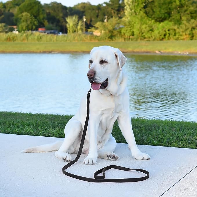 Dogline Biothane Waterproof Dog Leash Strong Coated Nylon Webbing with Black Hardware Odor-Proof Easy to Clean High Performance for Small or Large Dogs Made in USA 4 or 6 ft Lead, Black
