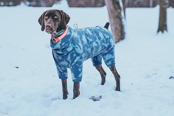 ROZKITCH Pajamas for Dogs Large, Pet Windproof Warm Cold Weather Jacket Vest with Luminous Zipper, Jumpsuit Apparel Outfit Clothes for Small Medium Large Dog Shark 2XL