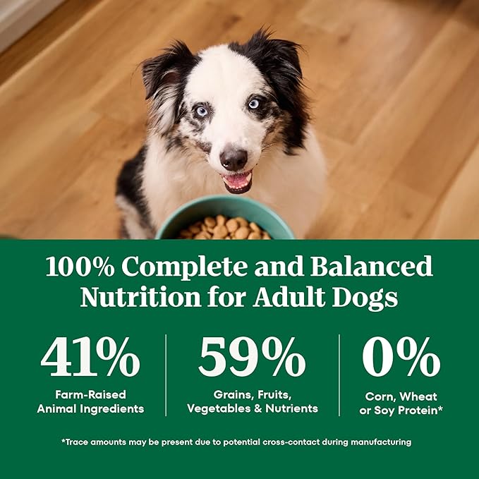 Nutro Natural Choice Beef & Brown Rice Adult Dry Dog Food Recipe, 4.5 lb. Bag