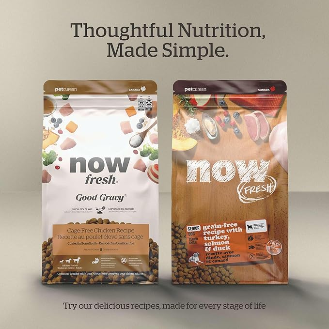 Now Fresh Grain-Free Dry Dog Food with Turkey, Salmon & Duck, Healthy Kibble for Adults Made with Real Meat & Fish, Chicken-Free, Enhanced with Pumpkin & Probiotics for Good Digestion, 12 lb Bag