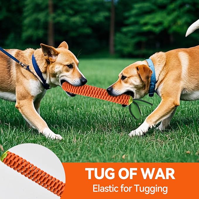 AUSCAT Carrot Dog Rope Toy, Durable Tug of War Toy with Squeaker, Braided Teething Toys for Small Medium Large Dogs