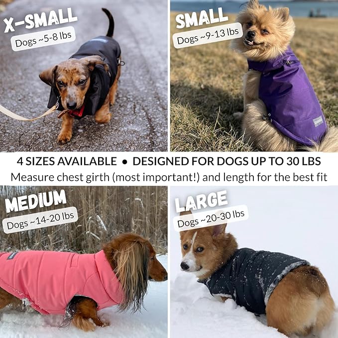 DJANGO Puffer Dog Coat – Warm Winter Dog Jacket & Water-Repellent Insulated Puffer Vest with Striped Lining, Harness Hole, Adjustable Fit for Small & Medium Dogs, Dachshunds – Sea Foam Green, Small