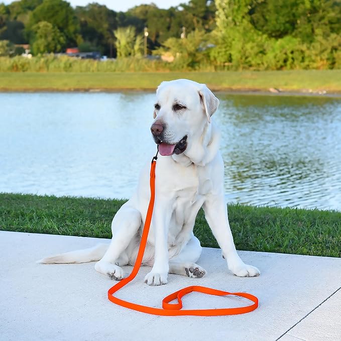 Dogline Biothane Waterproof Dog Leash 2/4/6 Ft Strong Coated Nylon Webbing with Black Hardware Odor-Proof Easy to Clean High Performance for Small or Large Dogs Made in USA, Hunter Orange