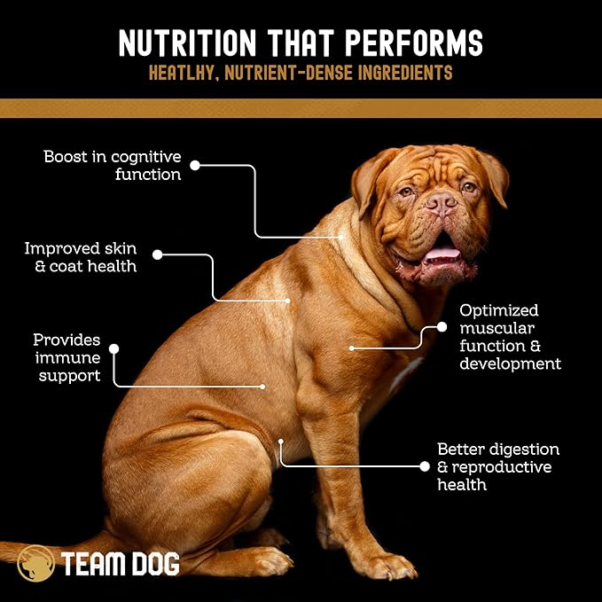 Team Dog Elite Blend Salmon Dog Food with Herring & Lentils | High Protein Dog Food for Sensitive Stomachs & Skin | Chicken Free, Gluten Free, GMO Free, No Corn, Wheat or Soy (33 lb)