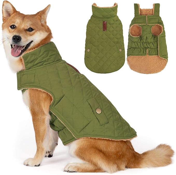 Dog Winter Coat, Dog Jacket with Warm Fleece Lined, Waterproof Windproof Dogs Cold Weather Coats Clothes for Puppy Dogs Snowsuit with Leash Hole, Green Small