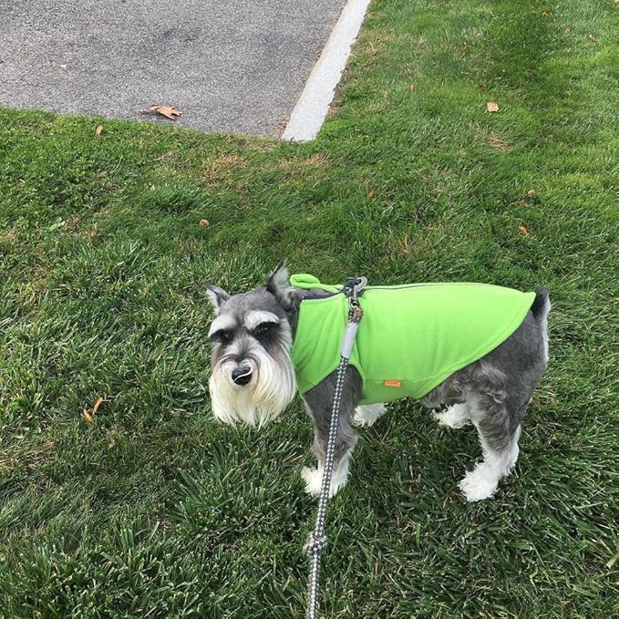 Gooby Zip Up Fleece Dog Sweater - Lime, Large - Warm Pullover Fleece Step-in Dog Jacket with Dual D Ring Leash for Small to Medium Dogs