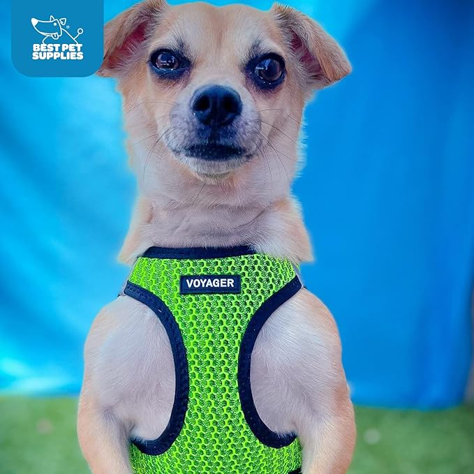 Best Pet Supplies Voyager Step-in Air Harness - All Weather Mesh, Reflective, No Pull Harness for Dogs, Cats - Secure with Hook & Loop Fastener, Buckle, Double D-Rings - Tone, XL