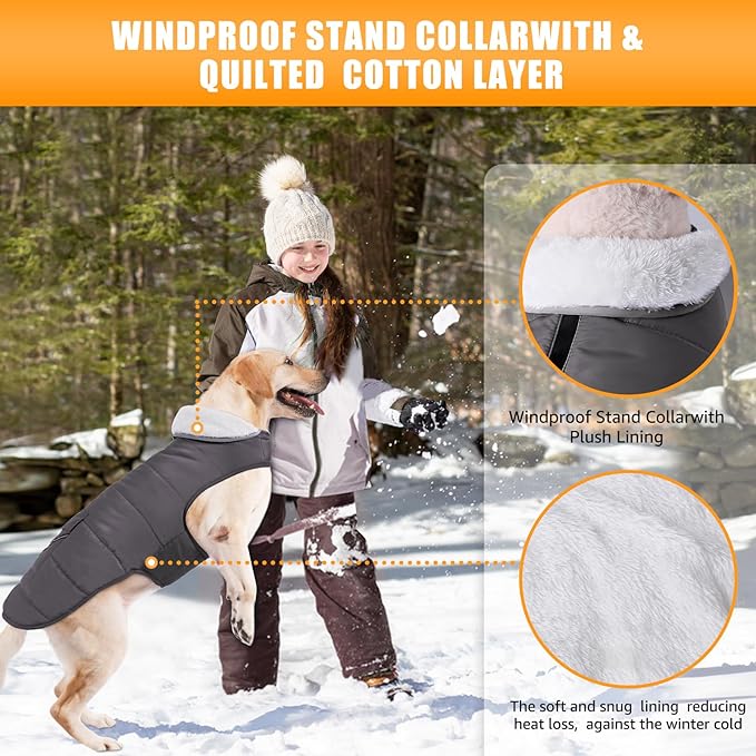 iBuddy Dog Winter Coats with Fleece Vest,Waterproof Warm Dog Snow Jacket Windproof, Reflective Adjustable Pet Dogs Cold Winter Coat for Dogs Girl Boy