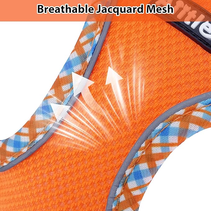 AIITLE Dog Harness and Leash Set - Ultra-Comfortable XXS-XL Vest with Strong Magic Tape & Glow-in-Dark Reflective Strips, Chafe-Free for Teddy, Schnauzer (Orange, M)