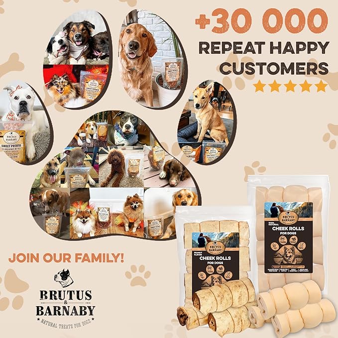 Premium Beef Cheek Rolls for Dogs 5-7" - (10-Pack) Long Lasting, Safe & Natural Rawhide Alternative Chews, Ideal for Large Dogs & Aggressive Chewers, Supports Dental Health & Digestion