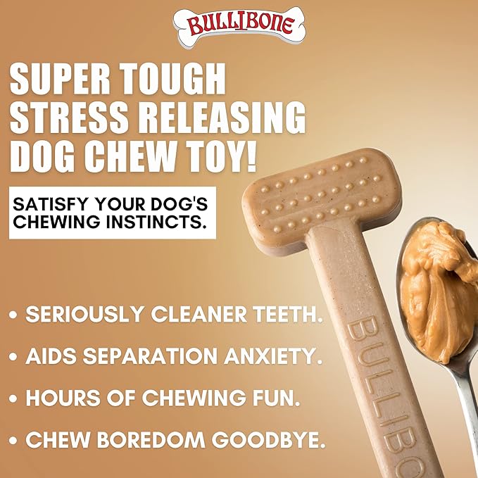 Bullibone Nylon Dog Chew Toy Nylon Bone - Improves Dental Hygiene, Easy to Grip Bottom, and Permeated with Flavor (Peanut Butter, Large - Single)