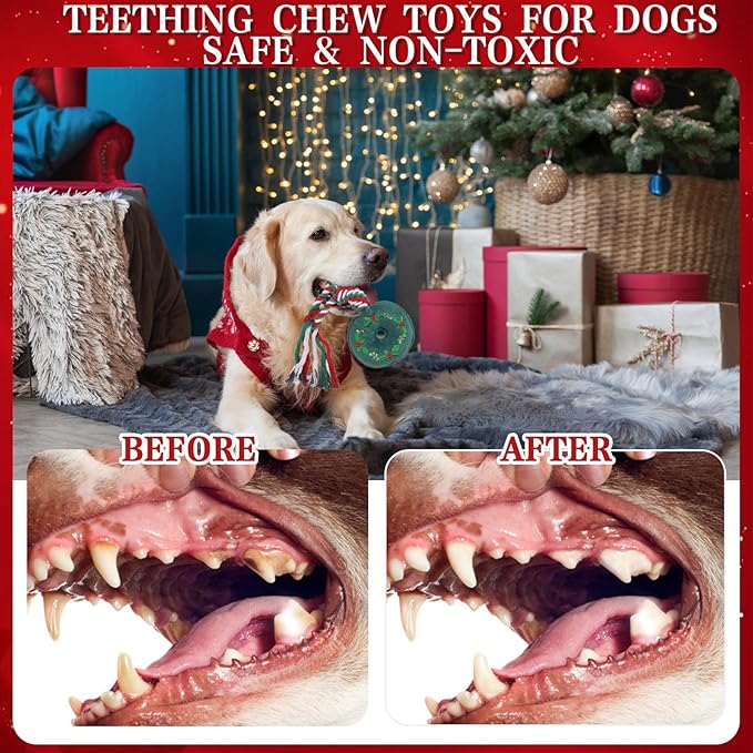 EXPAWLORER Christmas Dog Toys Bulk 15 Pack Set - Puppy Xmas Toys Gift Box for Teething, Durable Squeaky Rope Ball Toy, Indestructible Rubber Chew Toy, Interactive for All Dogs Aggressive Chewers