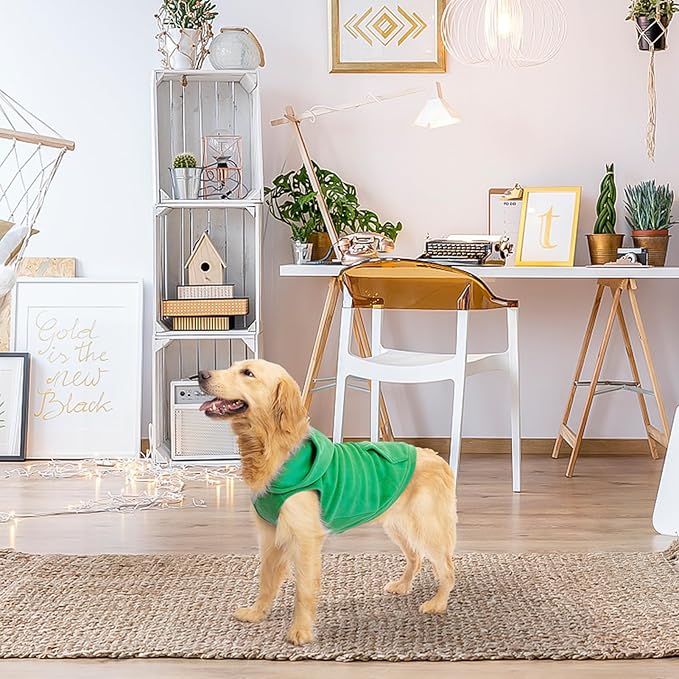 EXPAWLORER Dog Hoodie Fleece Sweater Vest, Hooded Dog Sweatshirt Fall Winter Pet Clothes with Leash Hole, Sleeveless Warm Cozy Puppy Clothing for Cat Small Medium Large Dogs Girl Boy, Green L
