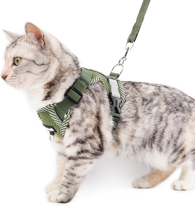 Cat Harness and Leash Escape Proof Extra Large Kitten Harness Maine Coon Cat Vest for Walking Travel, Dark Green, XXL