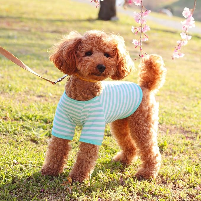 Geyoga 6 Pieces Dog Striped T-Shirt Cotton Breathable Pet Apparel Colorful Puppy Sweatshirt Clothes for Small to Medium Dogs Puppy(Gentle Color,M)