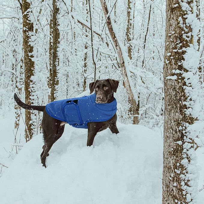 Queenmore Small Dog Sweater, Soft Fleece Vest Pullover Dog Jacket with Leash Hole, Warm Winter Dog Coats Cold Weather Doggy Dachshund Sweaters for Small Dogs Cats Boy or Girl (Blue, XS)