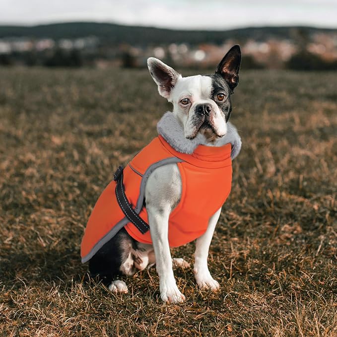 Lelepet Warm Dog Winter Coat Reflective Dog Jacket Fleece Vest Waterproof Windproof Cold Weather Coats with Adjustable Buckle Turtleneck Snowsuit for Small Medium Large Dogs,Rottweiler,Great Dane,XXXL