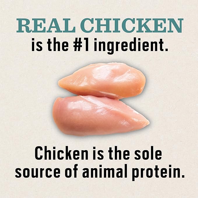 Dr. Pol Limited Ingredient Chicken Dog Food - Natural Healthy Balance Kibble, Vet Formulated for Sensitive Stomachs and Skin Allergies, Single Meat Source Made in USA, Chicken 12lb Bag