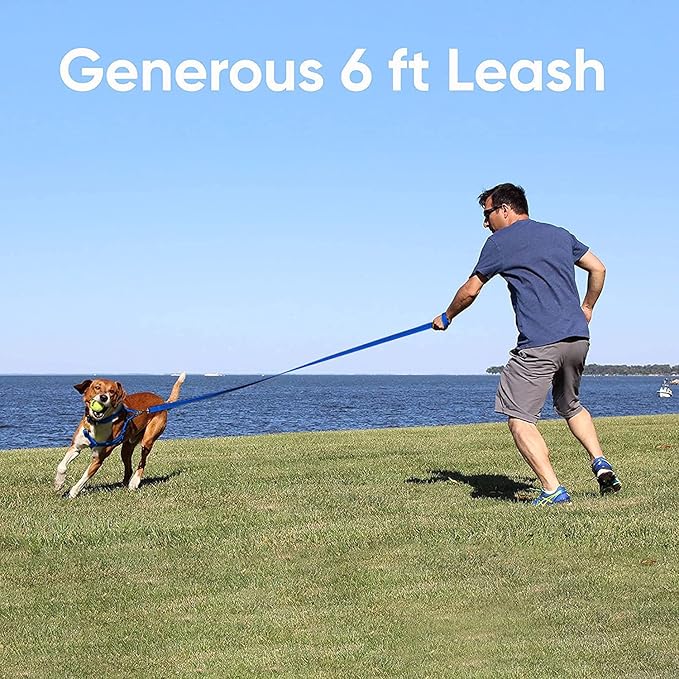Pawtitas 6 FT Recycled Dog Leash with Reflective Stitched Thread Stitched on Side| Medium Reflective Dog Leash Made from Plastic Bottles Collected from Oceans – Pink 6 ft Dog Leash