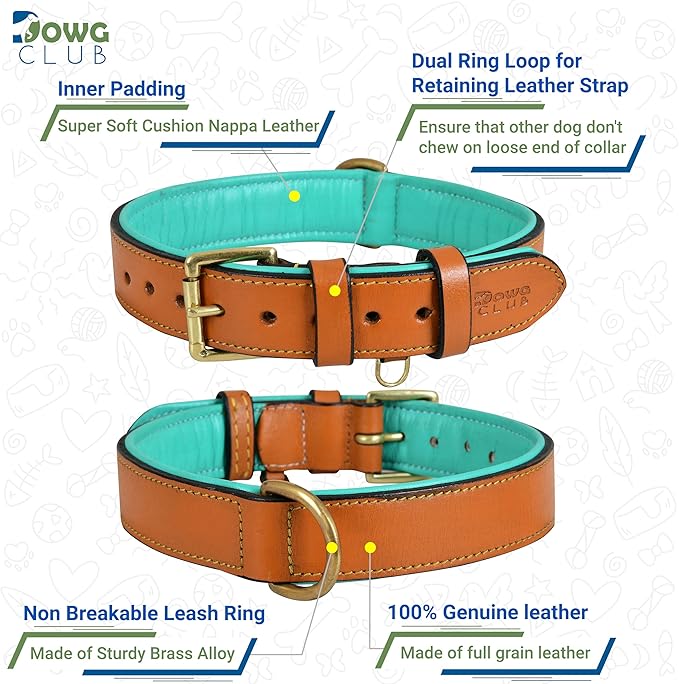 Genuine Leather Dog Collar | Full Grain, Heavy Duty, Comfortable, Padded, Strong | Best for Pups, Small, Medium, Large & XL Breeds (Large (Fit Neck Size 18.5"-22.5"), Tan)