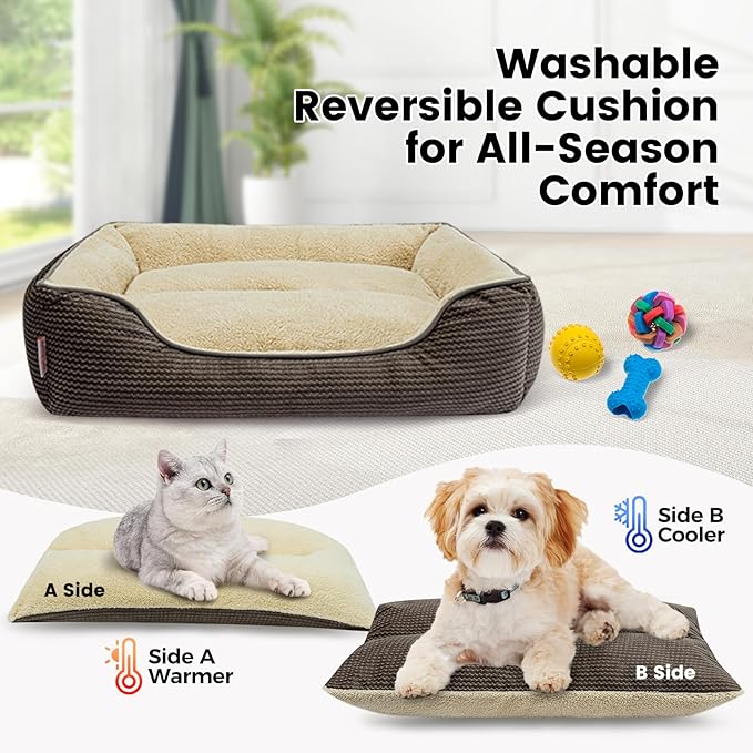 Miguel Dog Bed with Removable Cushion/Pillow for Small Dogs, Washable Pet Bed with Side Easy to Wash Puppy Bed, Rectangle Cat Beds for Indoor Cats with Anti-Slip Bottom, Khaki 20 Inch