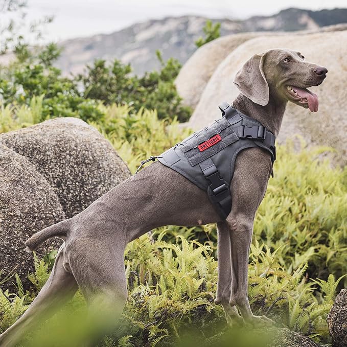 OneTigris Tactical Dog Training Vest No Pull Harness for Dogs,Adjustable Dog Hiking Harness Working Vest(Grey, Large)