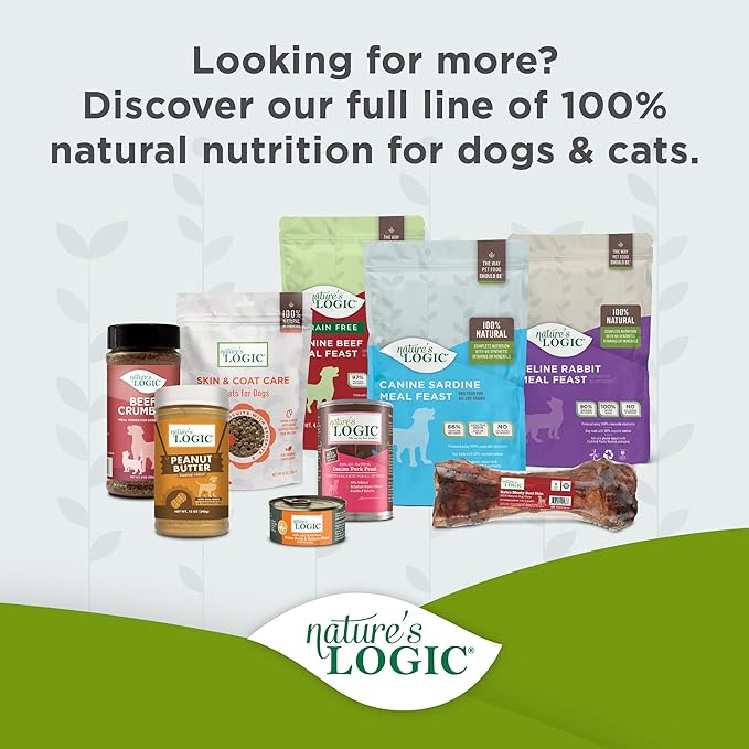 NATURE'S LOGIC Dry Dog Food - 100% Natural - No Synthetics - for All Ages, Sizes, Breeds - Free from Common Allergens, High Protein - Turkey Meal Feast, 4.4lbs