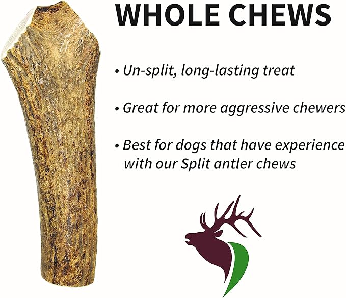 Small Whole Twin Pack (for 10-30 lb Dogs and Puppies) Premium Grade Elk Antlers for Dogs (2 Pieces) Sourced in The USA