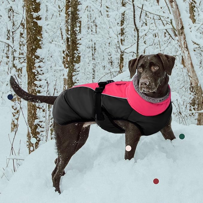 IECOii Extra Warm Dog Coat - Reflective, Adjustable Jacket with Buckle & Turtleneck for Cold Weather - Soft Winter Coat for Small to Extra Large Dogs