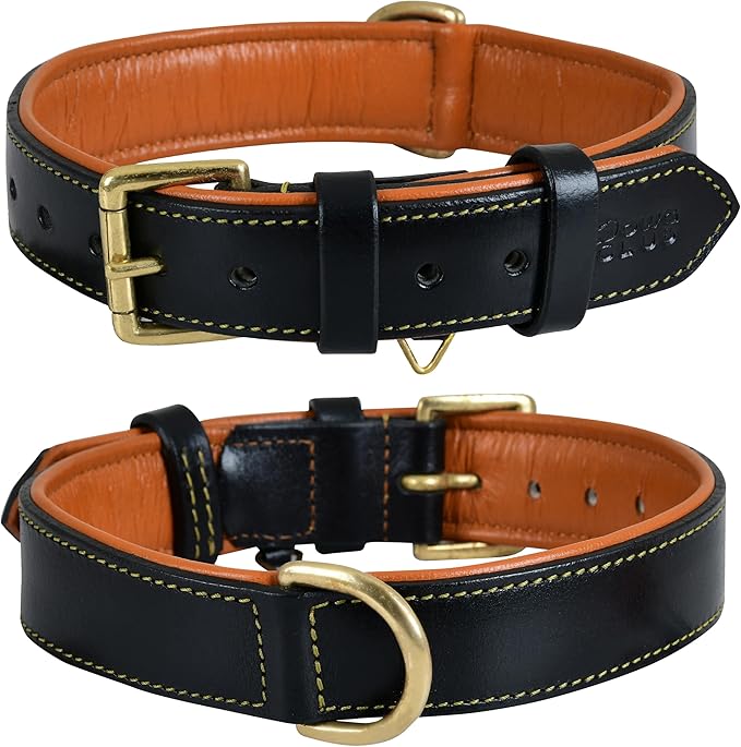 Genuine Leather Dog Collar | Full Grain, Heavy Duty, Comfortable, Padded, Strong | Best for Pups, Small, Medium, Large & XL Breeds (Large (Fit Neck Size 18.5"-22.5"), Black)