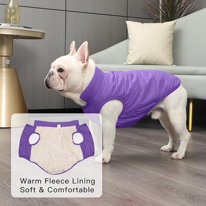 2 Layers Fleece Lined Warm Dog Jacket for Winter Cold Weather,Soft Windproof Medium Dog Coat,Purple L