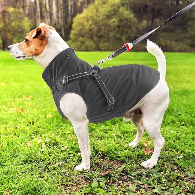 Mosucoirl Dog Raincoat Waterproof Dog Hoodie Reflective Dog Raincoat Hooded Adjustable Rain Jacket for Small Medium Large Dogs Puppies (Black, XXL)