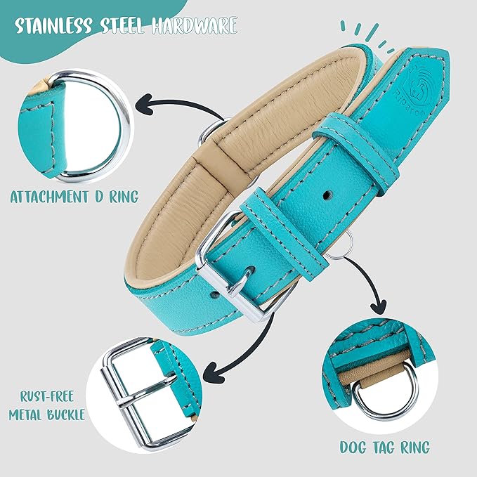 Riparo Adjustable Leather Dog Collar - Heavy Duty Wide Dog Collar for Small, Medium, Large and Extra Large Dogs with Dog Tag Holder, Blue Dog Collars (XL: 1.75" Wide for 21”-25” Neck, Aqua)