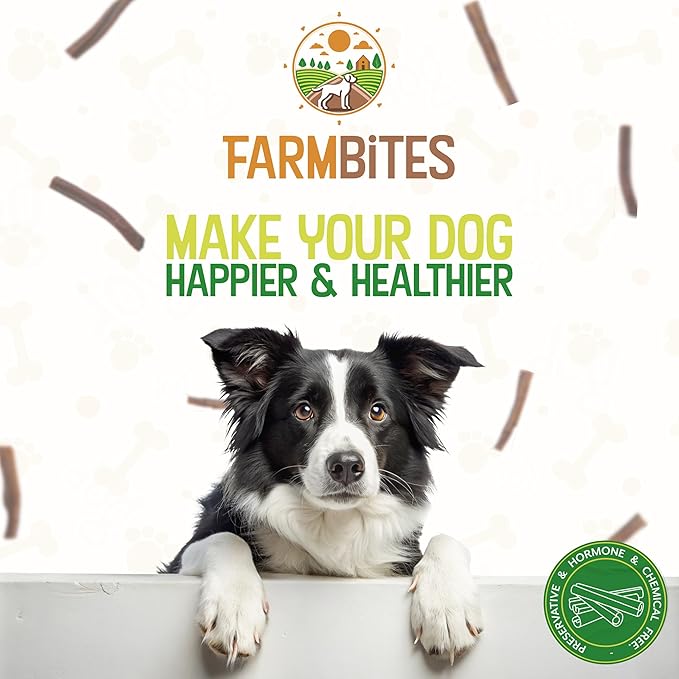 Bully Sticks – Odor-Free (6”, 15-Pack) | All-Natural 100% Beef Dog Chews | Grass-Fed, Grain-Free, Non-GMO | Easily Digestible Treat for Puppies, Small Breeds & Senior Dogs