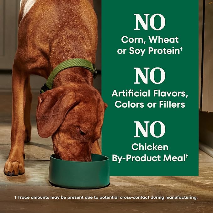 Nutro Natural Choice Chicken & Brown Rice Adult Dry Dog Food Recipe, 13 lb. Bag
